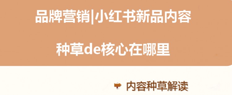 到底什么是内容种草如何去做好小红书产品种草！